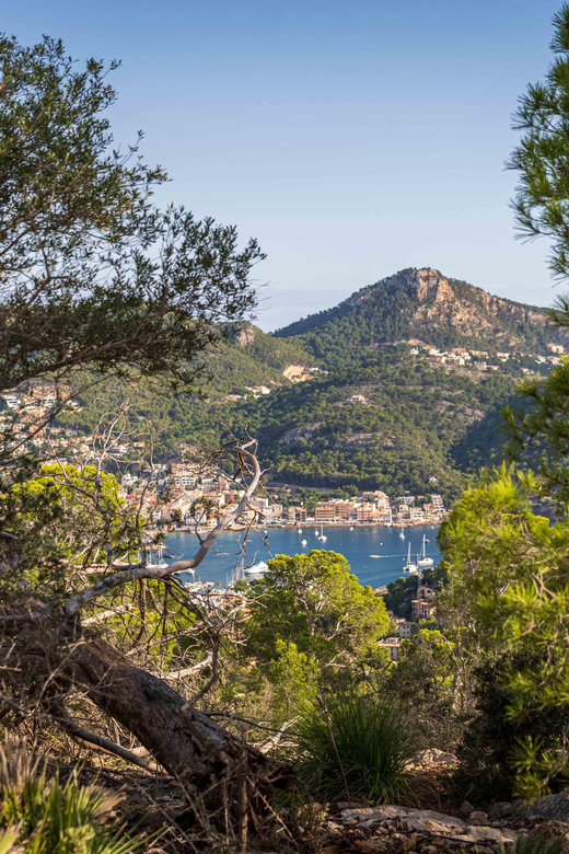 Port Andratx: Hiking Tour Into the Sunset to Sant Elm - Starting Location: Port Dandratx