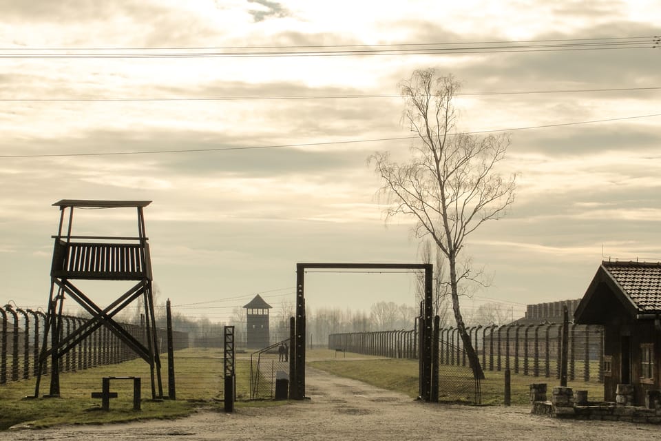 Premium Auschwitz-Birkenau Guided Tour From Krakow - Customer Feedback