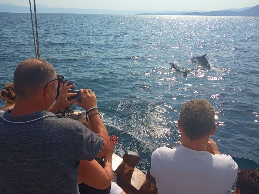 Preveza: Dolphin Watching Cruise With Lunch and Drinks - Frequently Asked Questions