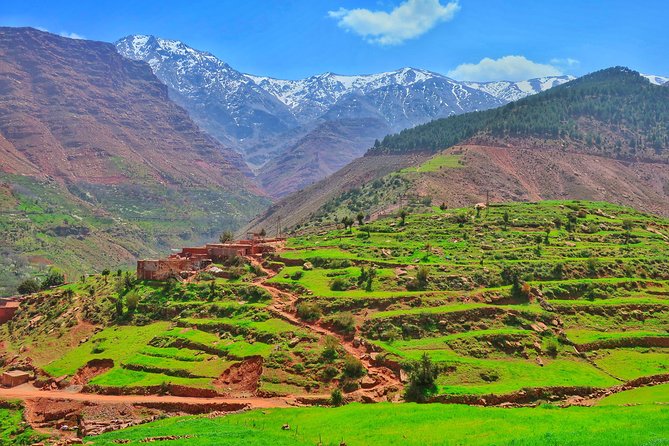 Private Atlas Mountains Day Trip - Pricing and Booking Information