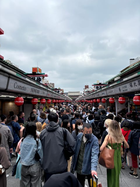 Private Car Tour With Meiji Shrine, Skytree, and Odaiba - Booking Information