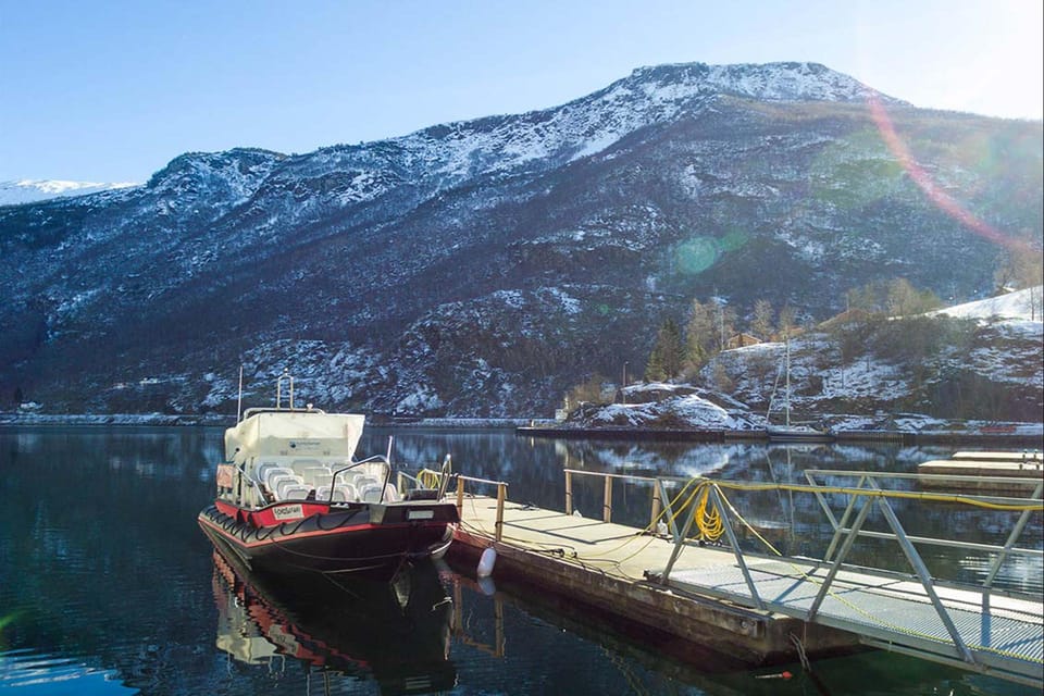 Private Day Tour to Flåm&Rib Sognefjord Safari&Flåm Railway - Wildlife Spotting Opportunities