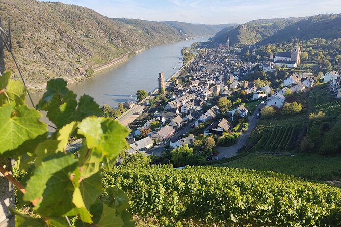 Private Day Trip to the Romantic Rhine Valley With River Cruise and Wine Tasting - Customizing the Itinerary