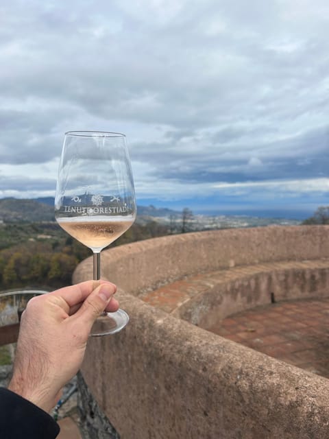 Private Etna Panoramic Tour+Wine Tasting & Food Combination - Important Information