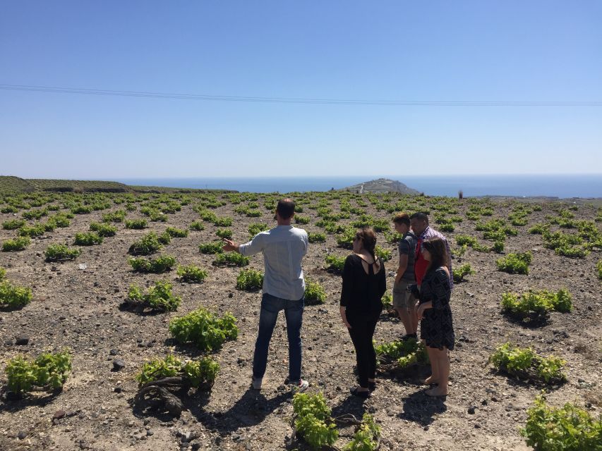 Private Group Visit to Akrotiri & 3 Wineries With Tastings - Recommendations for Visitors