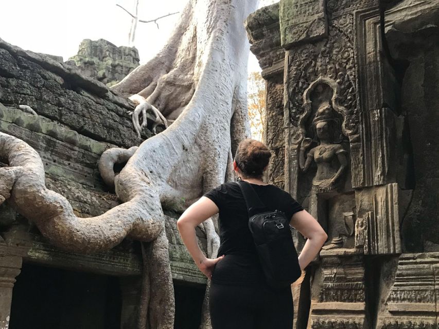 Private Guide: 1-Day Tour to Angkor Wat - Booking and Cancellation Policy