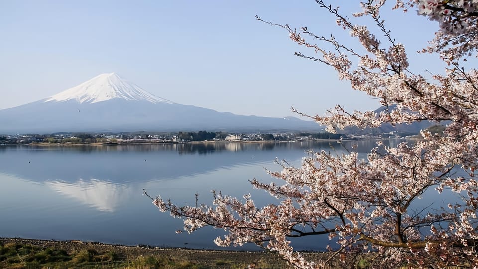 Private Guided Tour To Mount Fuji With Roundtrip Transfer. - Frequently Asked Questions