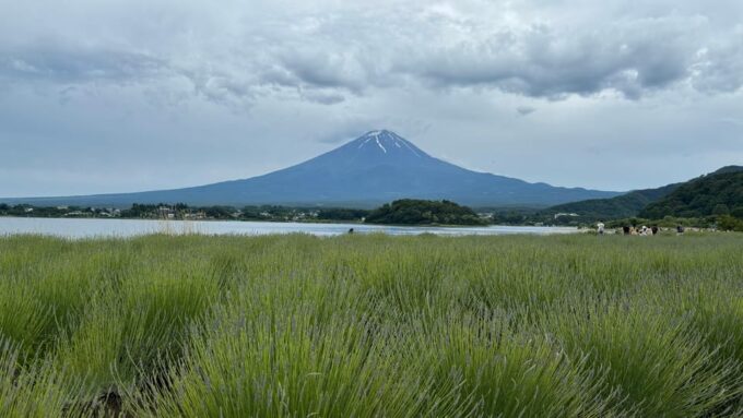 Private: Hakone and Kawaguchi in One Day. - Tips for Visitors