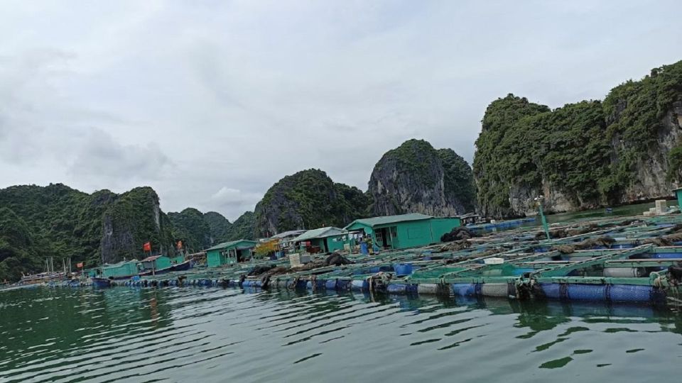 Private Lan Ha Bay Day Cruise From Hanoi With a Local Guide - Important Travel Tips