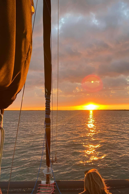 Private Sailing Tour Through the 10,000 Islands - Marine Life Encounter