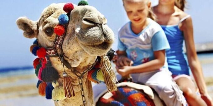 Private Tangier Tour From Cadiz Including Camel & Lunch - Pickup and Dropoff Locations