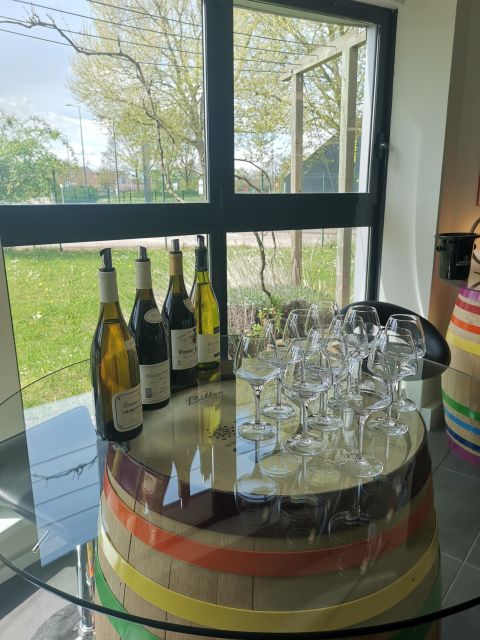 Private Tasting in Beaune : The Best of Burgundy Wines - Burgundian Terroirs Showcased