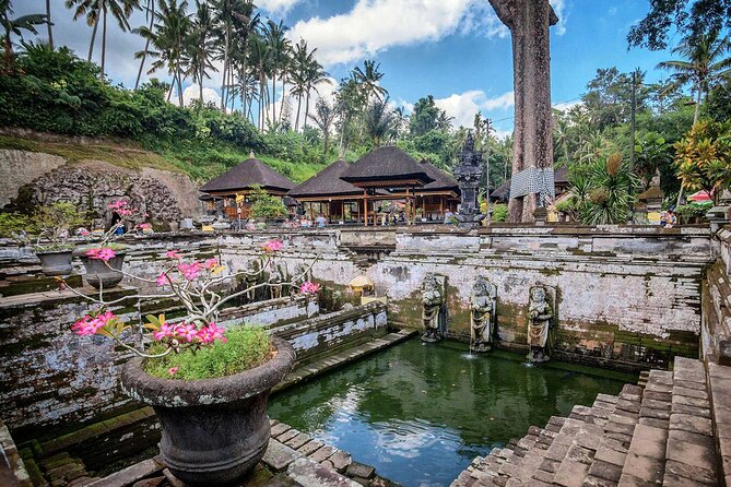 Private Tour : Bali Best Waterfalls, Temples and Monkey Forest - Customer Experiences