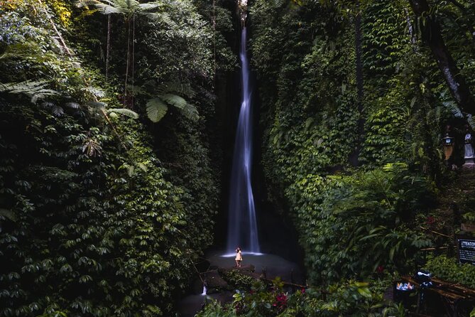 Private Tour: Bali Temples, Hidden Waterfall and Handara Gate - Guide Feedback
