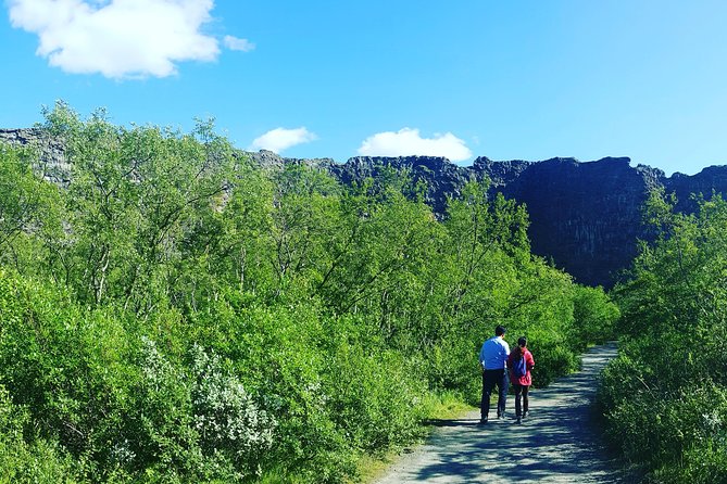 Private Tour in Northern Iceland From Akureyri - Exploring Dettifoss Waterfall