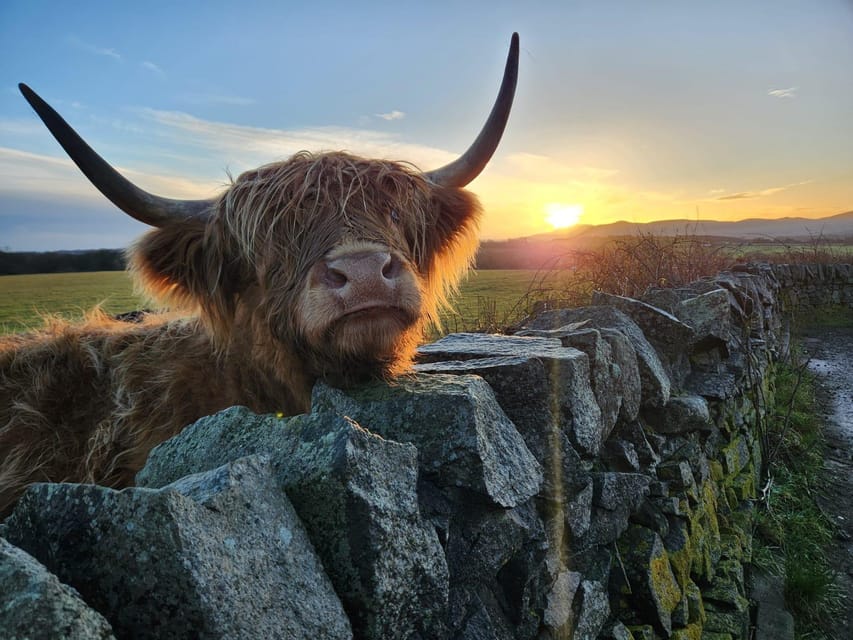 Private Tour of Highlands, Lochs & Castles From Stirling - Accessibility Features