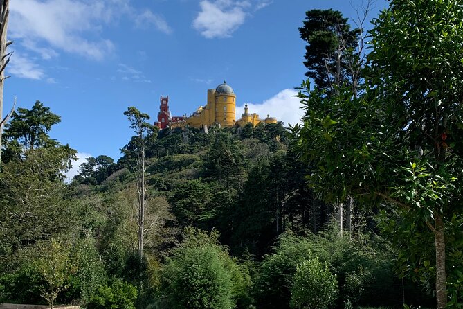 Private Tour, Sintra With Pena Palace and Quinta Da Regaleira FD - Tour Reviews and Feedback