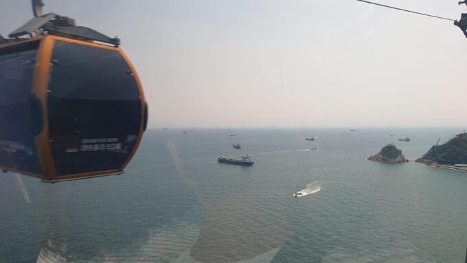 Private Tour to Busan, the Marseille of Korea - Jagalchi Fish Market