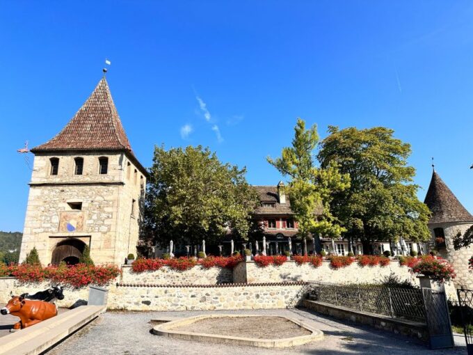 Private Tour to the Rhine Falls With Pick-Up at the Hotel - Customer Feedback