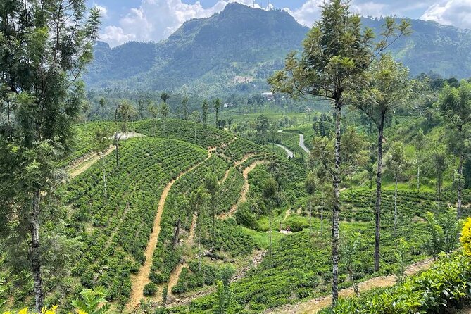Private Transfer - Kandy to Ella Drop off and Pick up - Pricing Structure