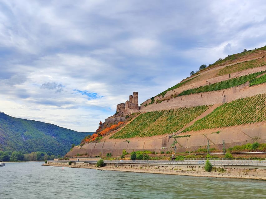 Private UNESCO Rhine Valley Tour With Boat Trip and Wine Tasting - Private Wine Tasting