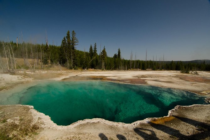 Private Yellowstone Old Faithful and Lower Loop Tour - Pricing and Inclusions Details