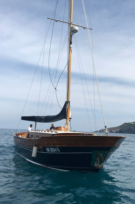 Procida From Ischia Tour - Languages and Accessibility