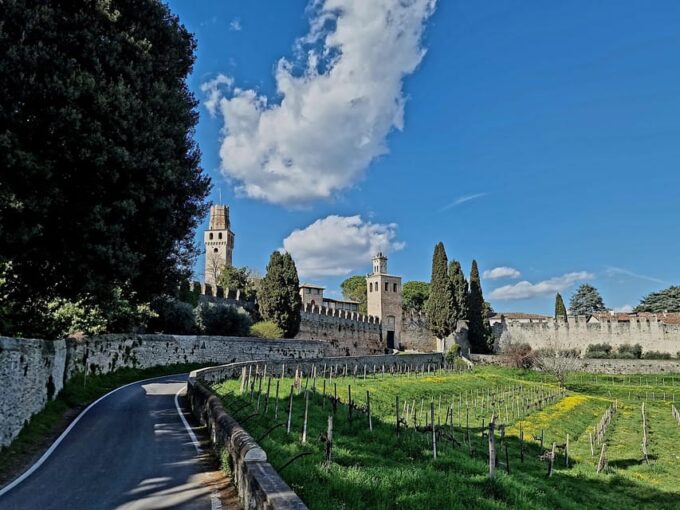 Prosecco Hills Bike Tour From Venice - Booking and Cancellation Policy