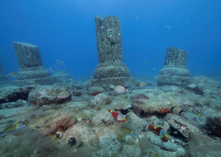 Puerto De Mogán: Submarine Tour - What to Bring