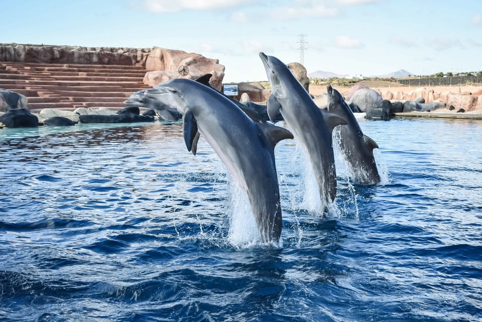 Puerto Del Carmen: Rancho Texas Lanzarote Park Entry Ticket - Cultural Experiences