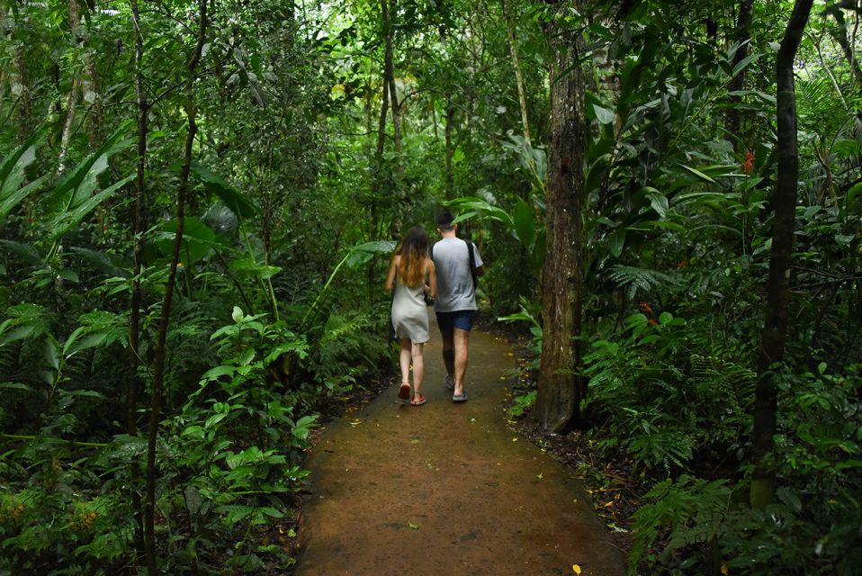 Puerto Iguazu: Iguaza Falls Brazilian Side & Bird Park Tour - Frequently Asked Questions