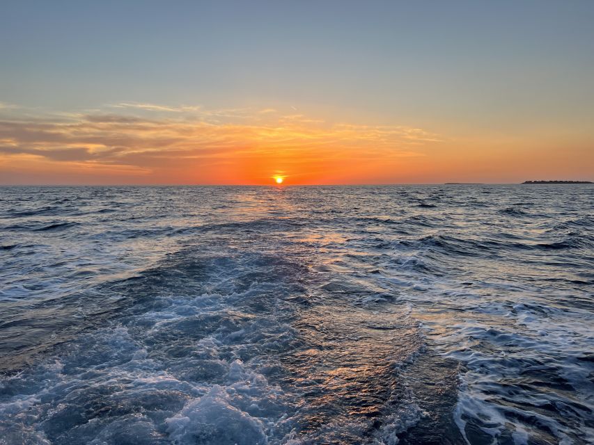 Pula: Dolphin Watching Sunset Cruise With Dinner & Drinks - Booking and Pricing