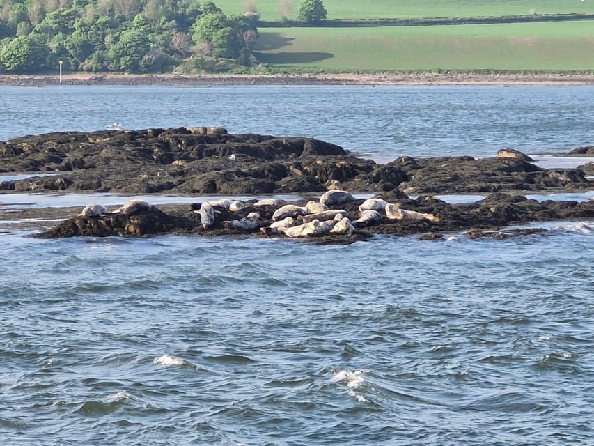 Queensferry: Sightseeing Cruise to Inchcolm Island - Booking and Cancellation Policy