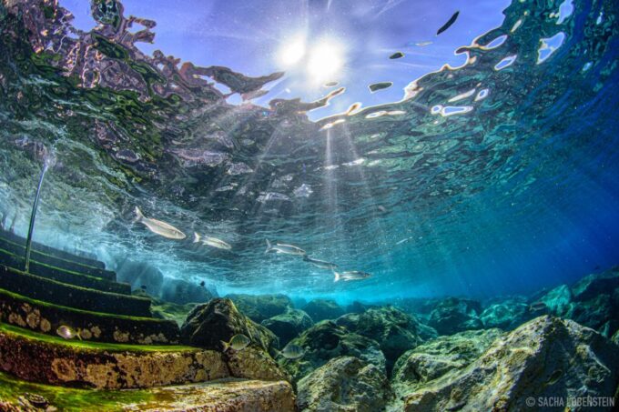 Radazul: Diving Trip in Radazul Bay With Drinks - Booking and Cancellation