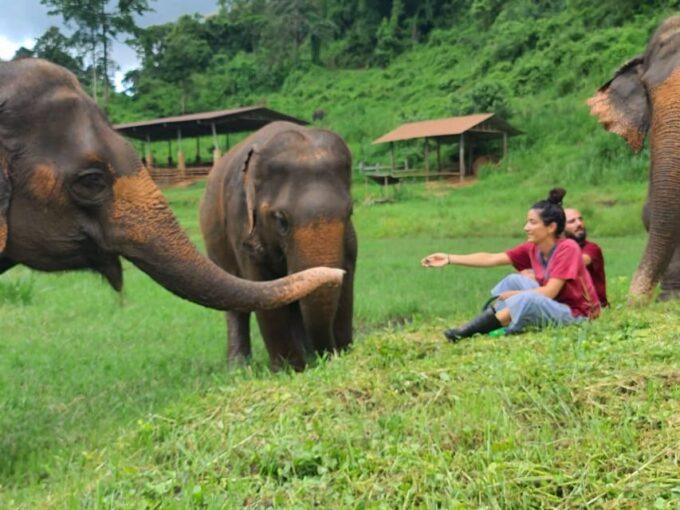 Rantong Elephant Sanctuary Chiangmai - Visitor Information