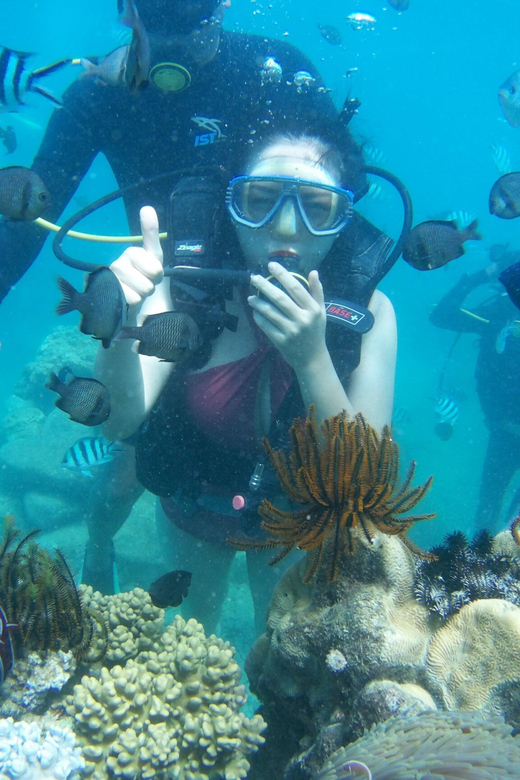 Red River Tour - Scuba Diving At Roi Island Phu Quoc - Additional Activities Available