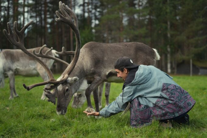 Reindeer Farm Visit With Professional Photographer - Photography Insights