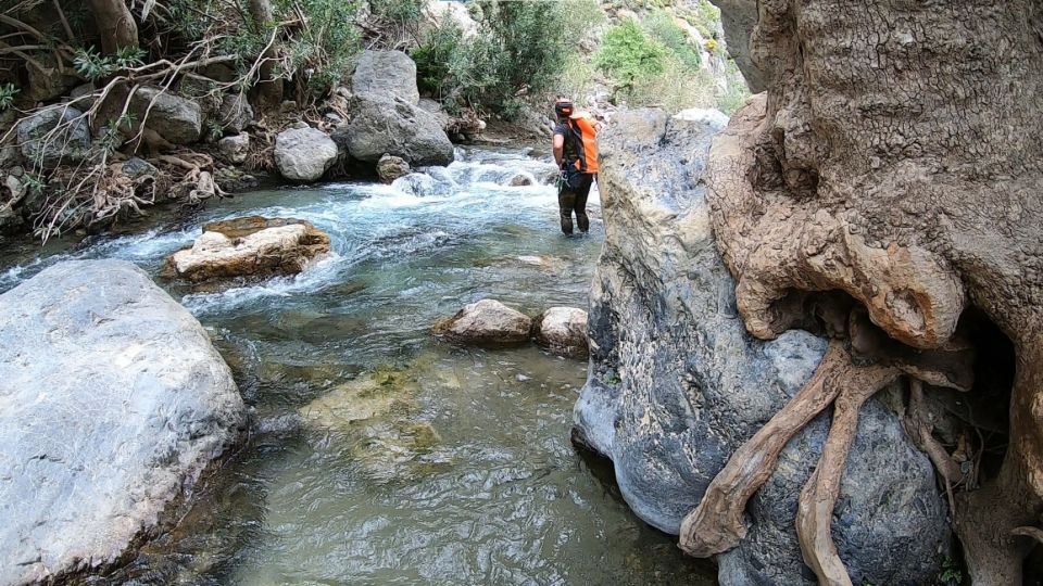 Rethymno: Canyoning Tour in the Kourtaliotiko Gorge - What to Expect