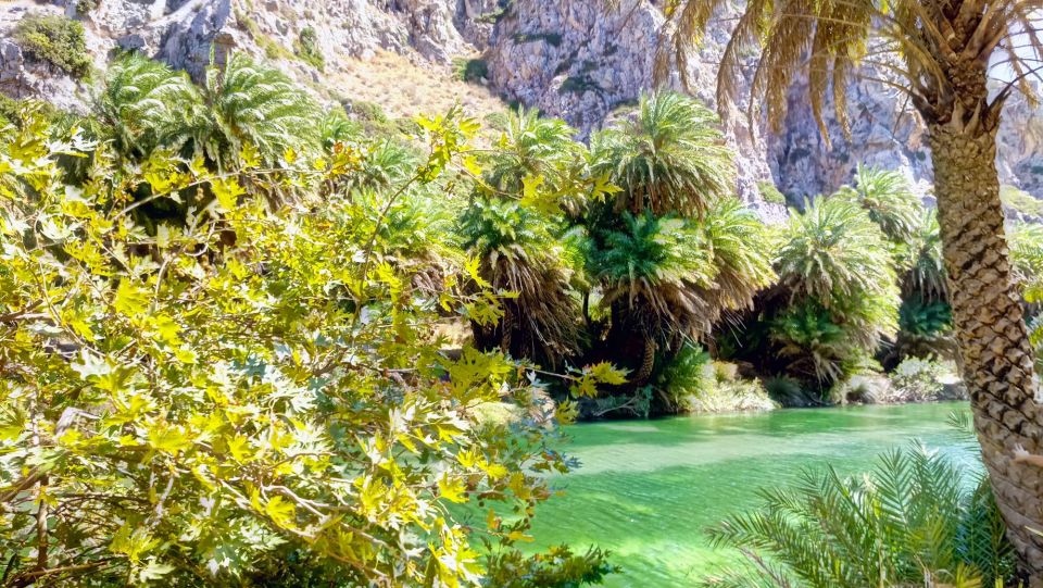 Rethymno Old Town - Preveli Beach - Kourtaliotiko Gorge - Relaxing at Preveli Beach