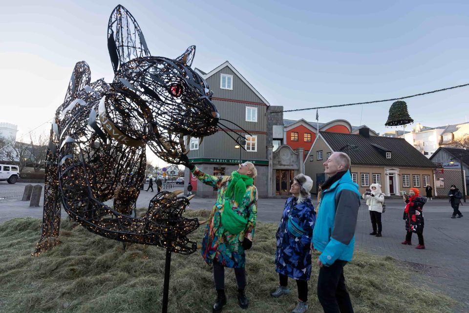 Reykjavik Christmas Walking Tour - Meeting Point and Guide