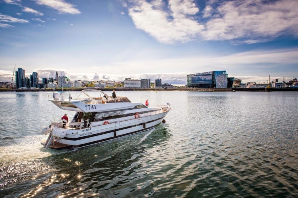 Reykjavik: Northern Lights Motor Yacht Cruise - Photography Opportunities