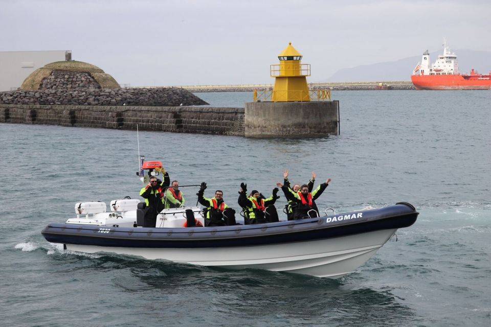 Reykjavik: Whale Watching Tour by RIB Boat - Customer Reviews