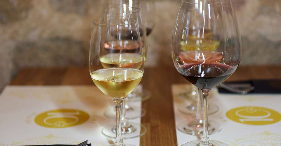 Rhodes: Private Wine Tasting Experience for Beginners - Wheelchair Accessibility