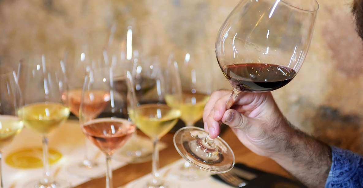 Rhodes: Private Wine Tasting for Experts - Pricing and Reservation Options