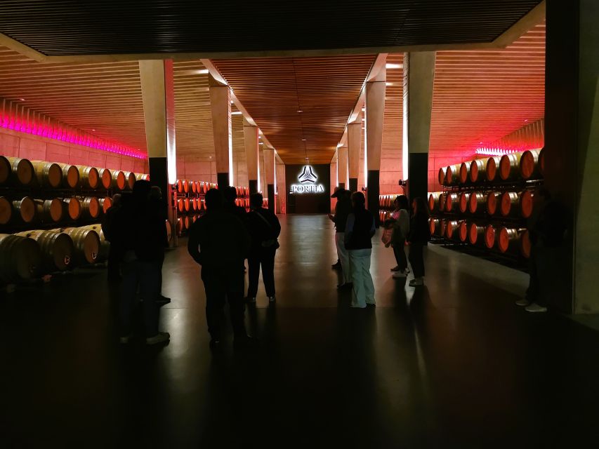 Ribera Del Duero Wine Region Private Tour - Winery Visits