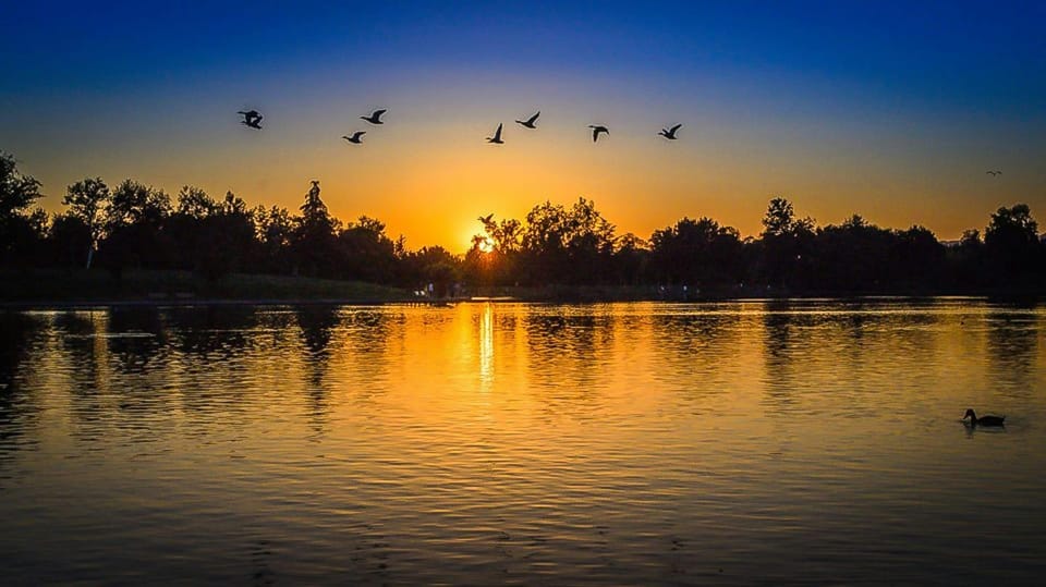 Ride a Motorboat Into the Sunset & Enjoy a Picnic - Important Restrictions to Note