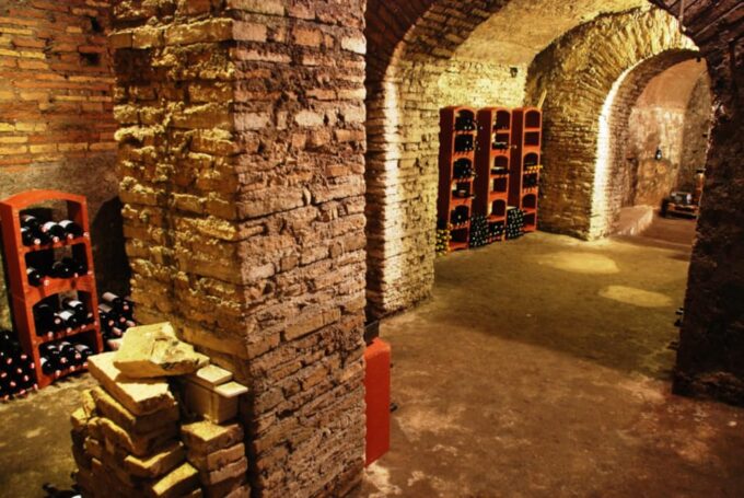 Rome: Guided Tasting of Natural Lazio Wines - Grape Varieties and Terroir