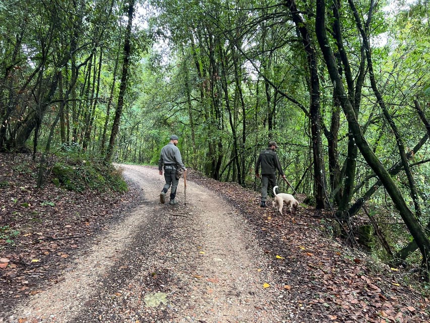 Rome: Truffle Hunting Experience - Preparation Tips