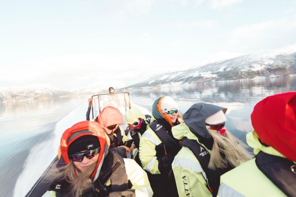 Rosendal Fjord Explore: RIB Adventure on the Hardangerfjord - Unique Features of Hardangerfjord