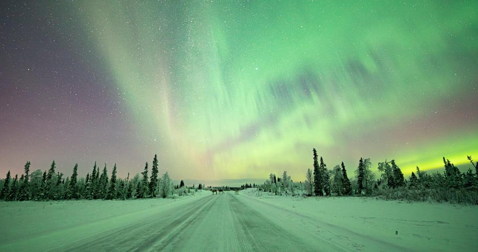 Rovaniemi: Aurora Guarantee Photography Tour (Small Group) - Frequently Asked Questions